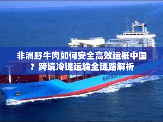 非洲野牛肉如何安全高效运抵中国？跨境冷链运输全链路解析