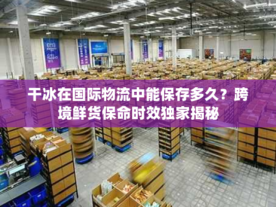 干冰在国际物流中能保存多久？跨境鲜货保命时效独家揭秘