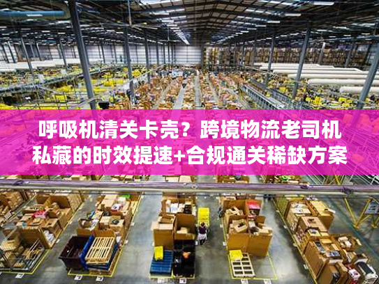 呼吸机清关卡壳？跨境物流老司机私藏的时效提速+合规通关稀缺方案