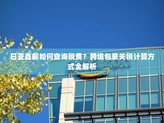 日亚直邮如何查询税费？跨境包裹关税计算方式全解析