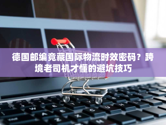 德国邮编竟藏国际物流时效密码？跨境老司机才懂的避坑技巧