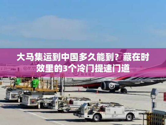 大马集运到中国多久能到？藏在时效里的3个冷门提速门道