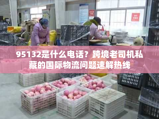 95132是什么电话？跨境老司机私藏的国际物流问题速解热线