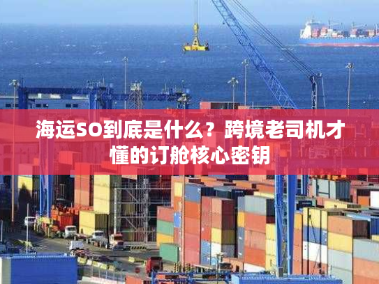 海运SO到底是什么？跨境老司机才懂的订舱核心密钥