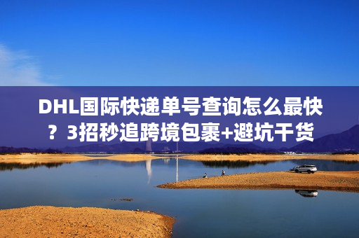 DHL国际快递单号查询怎么最快？3招秒追跨境包裹+避坑干货