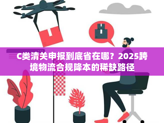 C类清关申报到底省在哪？2025跨境物流合规降本的稀缺路径