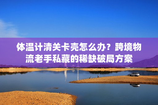 体温计清关卡壳怎么办？跨境物流老手私藏的稀缺破局方案