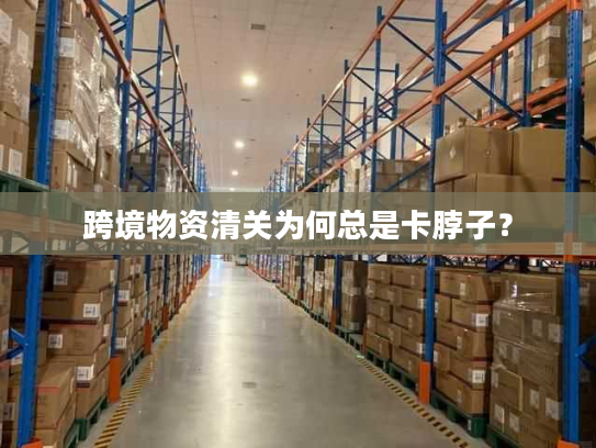 跨境物资清关为何总是卡脖子？