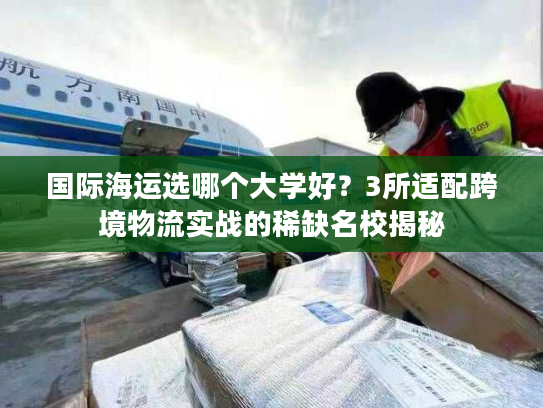 国际海运选哪个大学好？3所适配跨境物流实战的稀缺名校揭秘