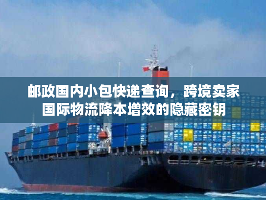 邮政国内小包快递查询，跨境卖家国际物流降本增效的隐藏密钥