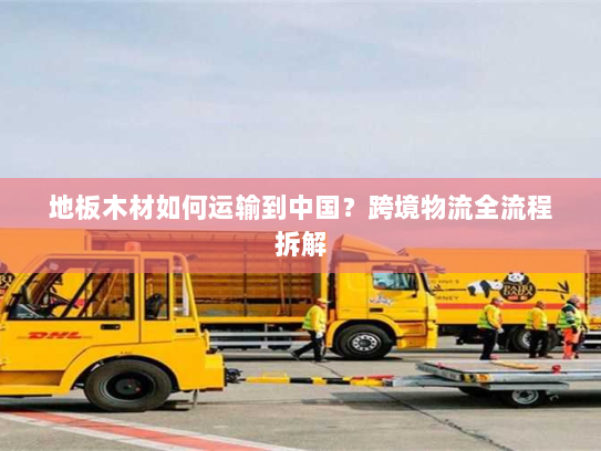 地板木材如何运输到中国？跨境物流全流程拆解