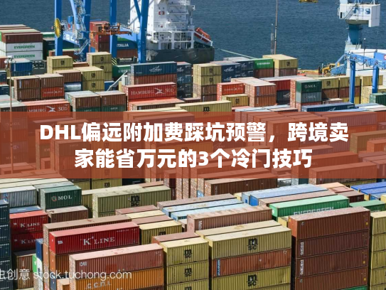 DHL偏远附加费踩坑预警，跨境卖家能省万元的3个冷门技巧