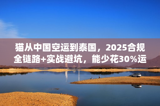 猫从中国空运到泰国，2025合规全链路+实战避坑，能少花30%运费？