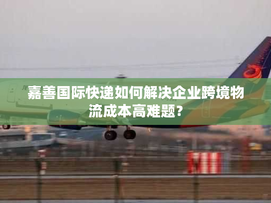 嘉善国际快递如何解决企业跨境物流成本高难题？