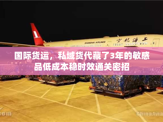 国际货运，私域货代藏了3年的敏感品低成本稳时效通关密招