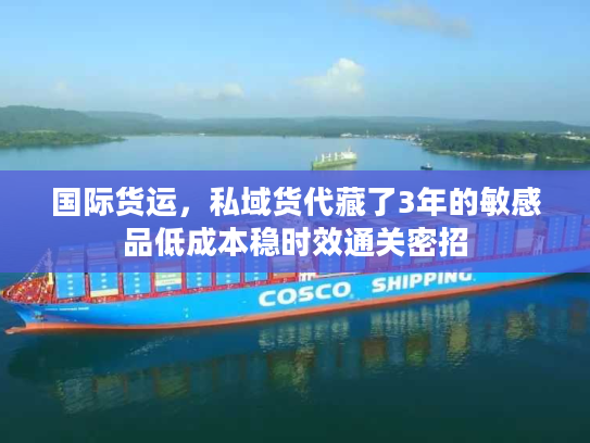 国际货运，私域货代藏了3年的敏感品低成本稳时效通关密招