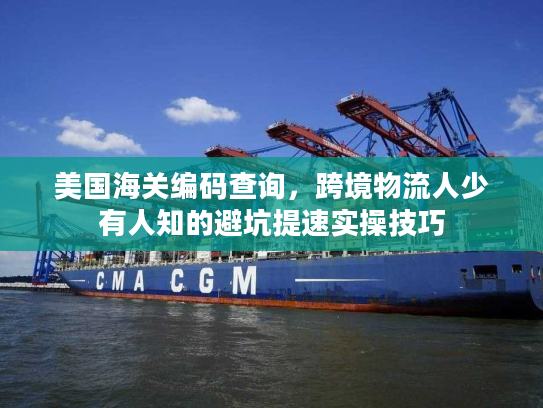 美国海关编码查询，跨境物流人少有人知的避坑提速实操技巧