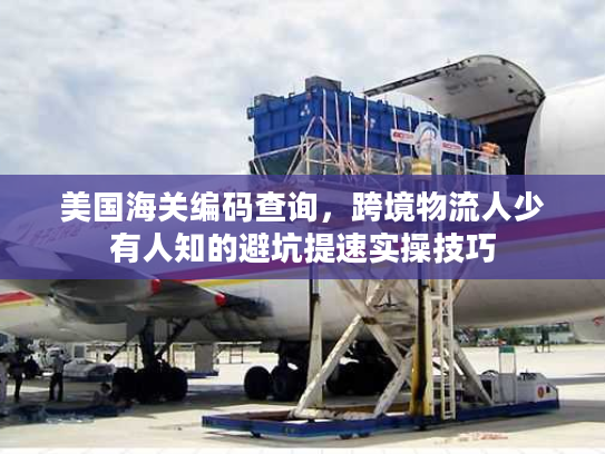 美国海关编码查询，跨境物流人少有人知的避坑提速实操技巧
