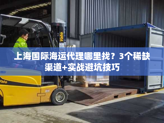 上海国际海运代理哪里找？3个稀缺渠道+实战避坑技巧