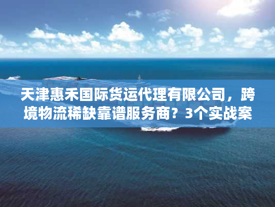 天津惠禾国际货运代理有限公司，跨境物流稀缺靠谱服务商？3个实战案例揭秘