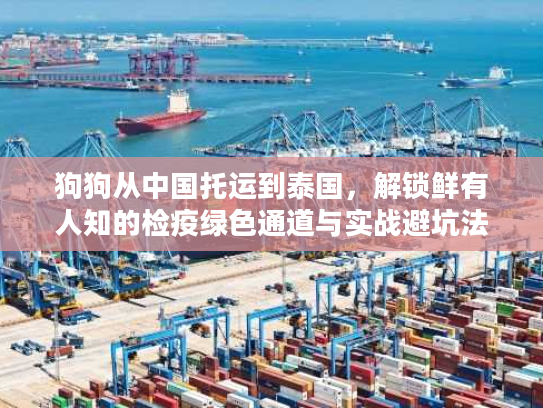 狗狗从中国托运到泰国，解锁鲜有人知的检疫绿色通道与实战避坑法