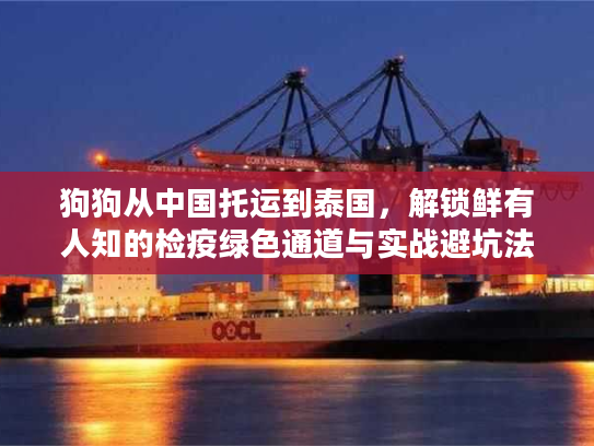 狗狗从中国托运到泰国，解锁鲜有人知的检疫绿色通道与实战避坑法