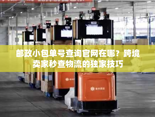 邮政小包单号查询官网在哪？跨境卖家秒查物流的独家技巧
