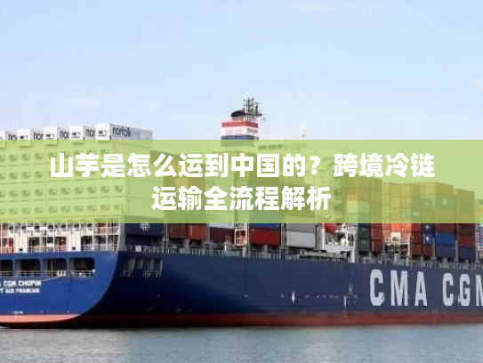 山芋是怎么运到中国的？跨境冷链运输全流程解析