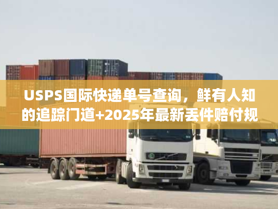 USPS国际快递单号查询，鲜有人知的追踪门道+2025年最新丢件赔付规则