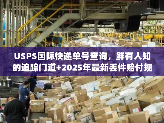 USPS国际快递单号查询，鲜有人知的追踪门道+2025年最新丢件赔付规则