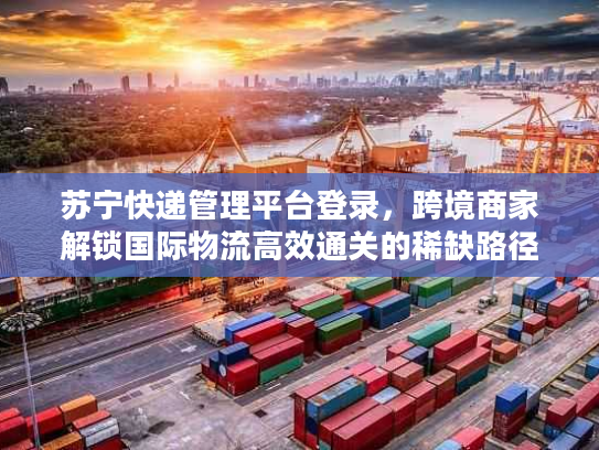 苏宁快递管理平台登录，跨境商家解锁国际物流高效通关的稀缺路径