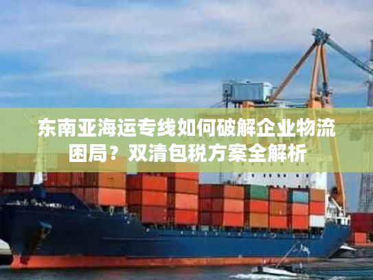 东南亚海运专线如何破解企业物流困局？双清包税方案全解析