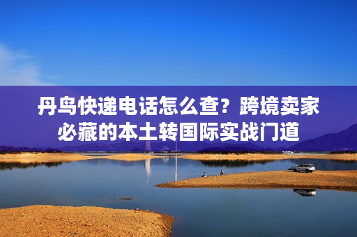 丹鸟快递电话怎么查？跨境卖家必藏的本土转国际实战门道