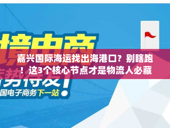 嘉兴国际海运找出海港口？别瞎跑！这3个核心节点才是物流人必藏