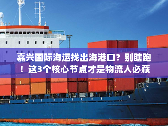 嘉兴国际海运找出海港口？别瞎跑！这3个核心节点才是物流人必藏