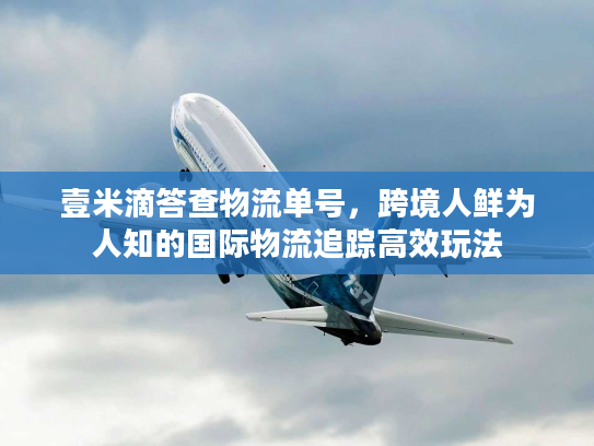 壹米滴答查物流单号，跨境人鲜为人知的国际物流追踪高效玩法