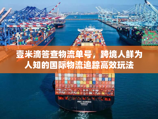 壹米滴答查物流单号，跨境人鲜为人知的国际物流追踪高效玩法