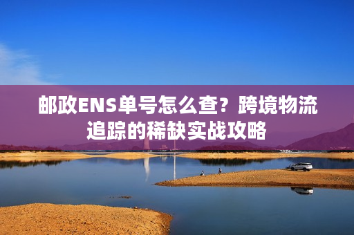 邮政ENS单号怎么查？跨境物流追踪的稀缺实战攻略
