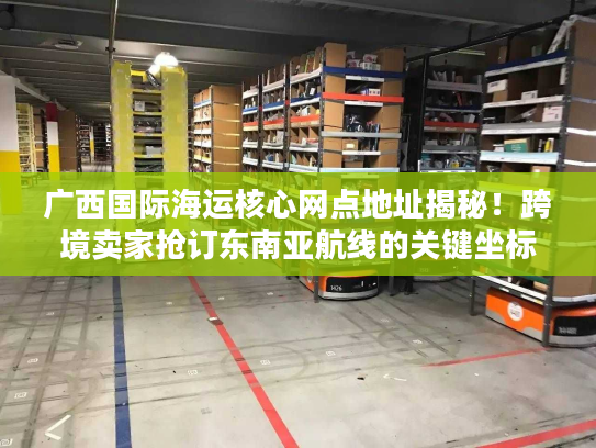 广西国际海运核心网点地址揭秘！跨境卖家抢订东南亚航线的关键坐标