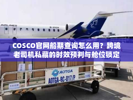 COSCO官网船期查询怎么用？跨境老司机私藏的时效预判与舱位锁定秘籍