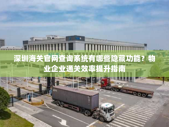 深圳海关官网查询系统有哪些隐藏功能？物业企业通关效率提升指南