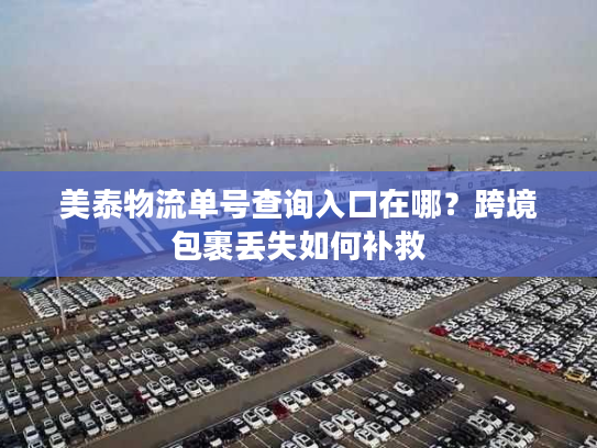美泰物流单号查询入口在哪？跨境包裹丢失如何补救