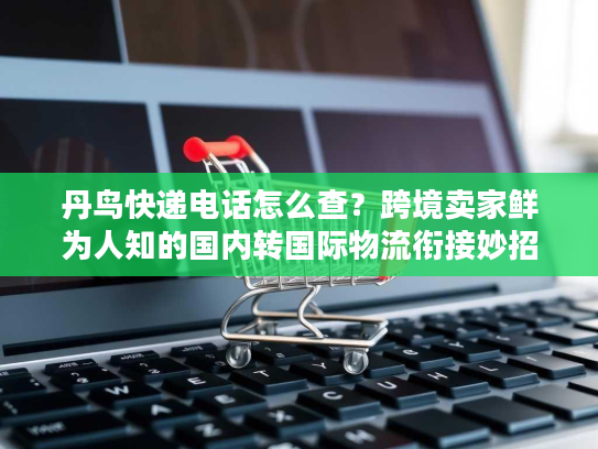 丹鸟快递电话怎么查？跨境卖家鲜为人知的国内转国际物流衔接妙招