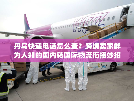丹鸟快递电话怎么查？跨境卖家鲜为人知的国内转国际物流衔接妙招