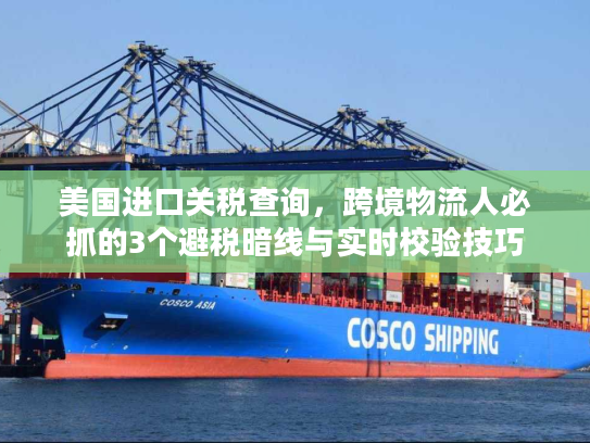 美国进口关税查询，跨境物流人必抓的3个避税暗线与实时校验技巧