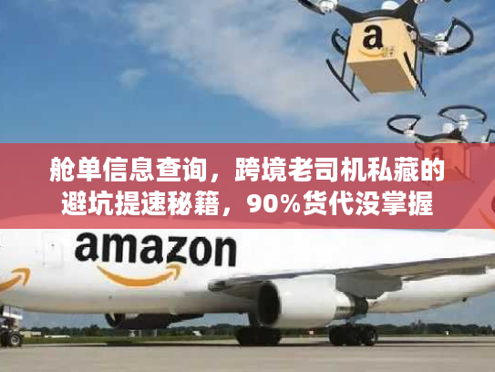 舱单信息查询，跨境老司机私藏的避坑提速秘籍，90%货代没掌握