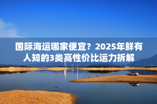 国际海运哪家便宜？2025年鲜有人知的3类高性价比运力拆解