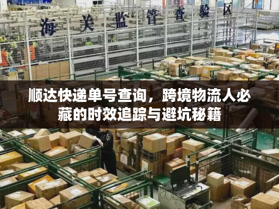 顺达快递单号查询，跨境物流人必藏的时效追踪与避坑秘籍