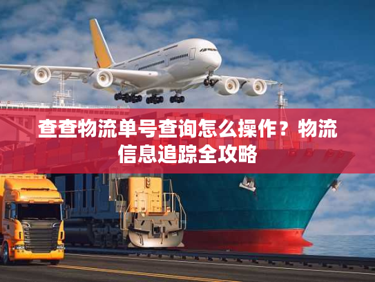 查查物流单号查询怎么操作？物流信息追踪全攻略