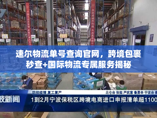 速尔物流单号查询官网，跨境包裹秒查+国际物流专属服务揭秘